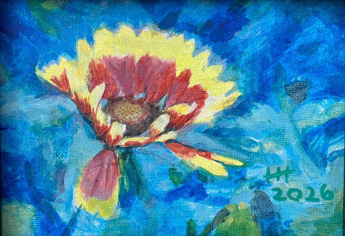 Blanket Flower