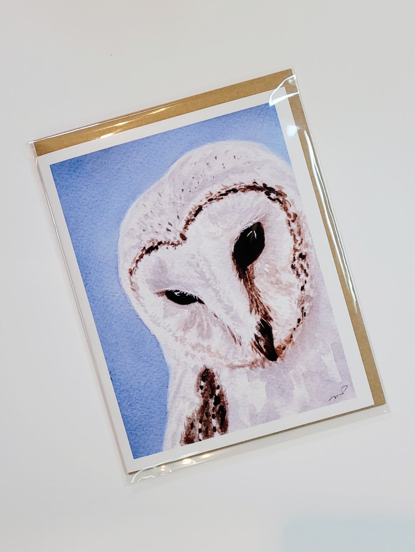 "The Observer" Day 76 Barn Owl