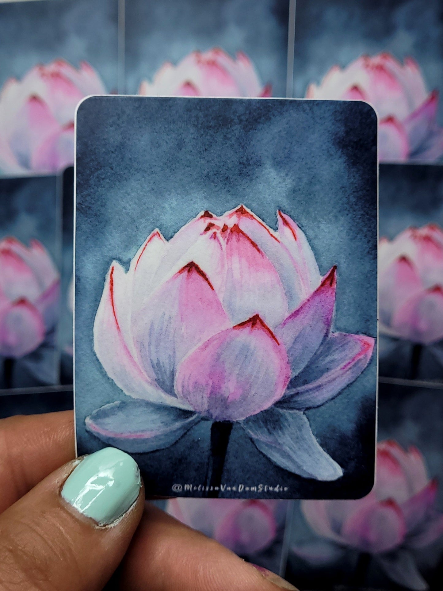 "Opening" Day 75 Lotus Flower