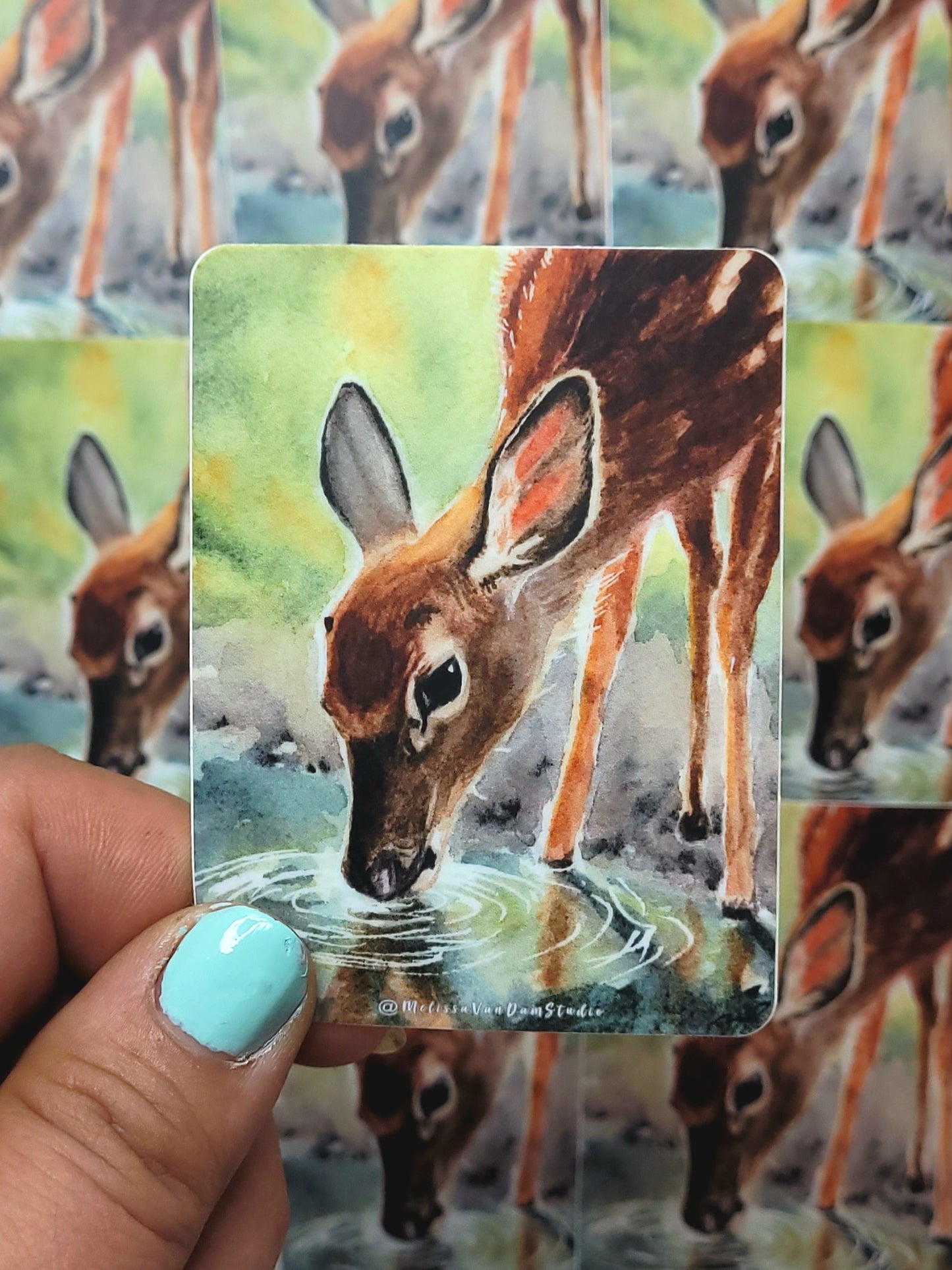 "As the Deer" Day 69 Fawn Drinking Water