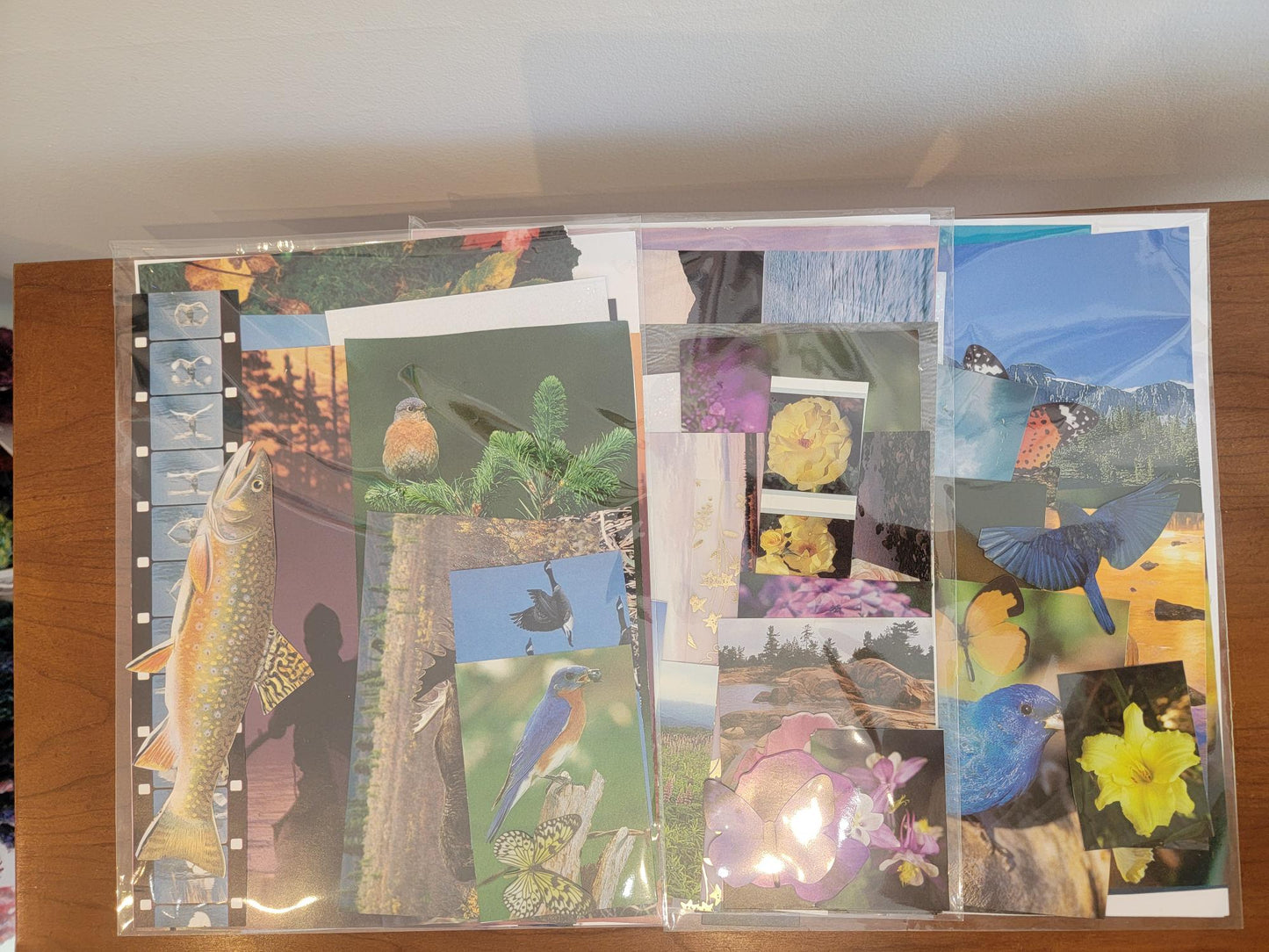 Collage Kit
