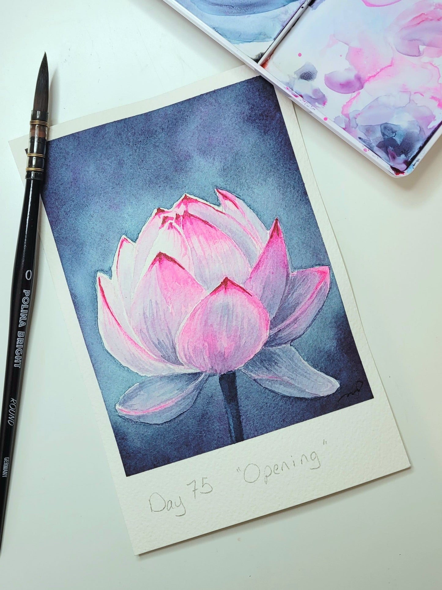 "Opening" Day 75 Lotus Flower