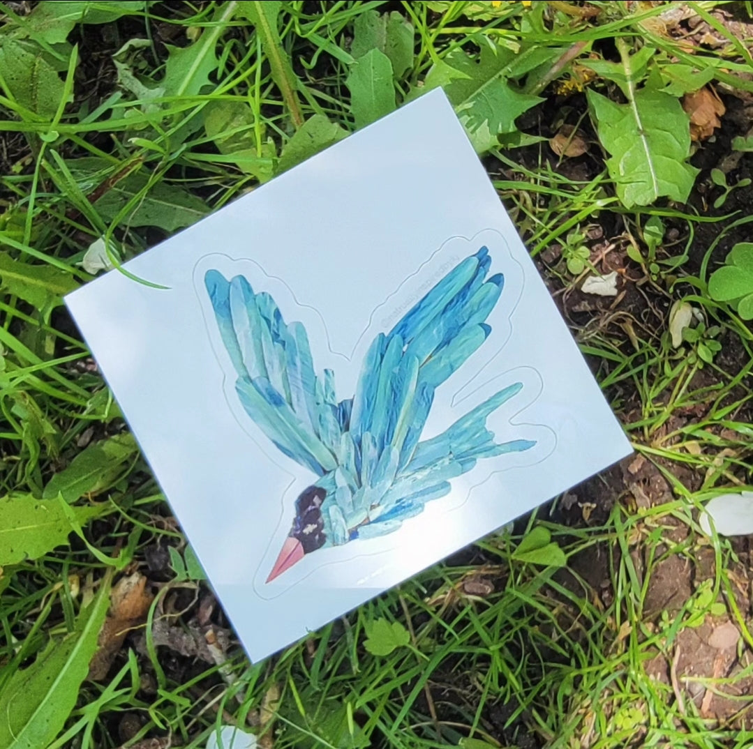 Arctic Tern Sticker