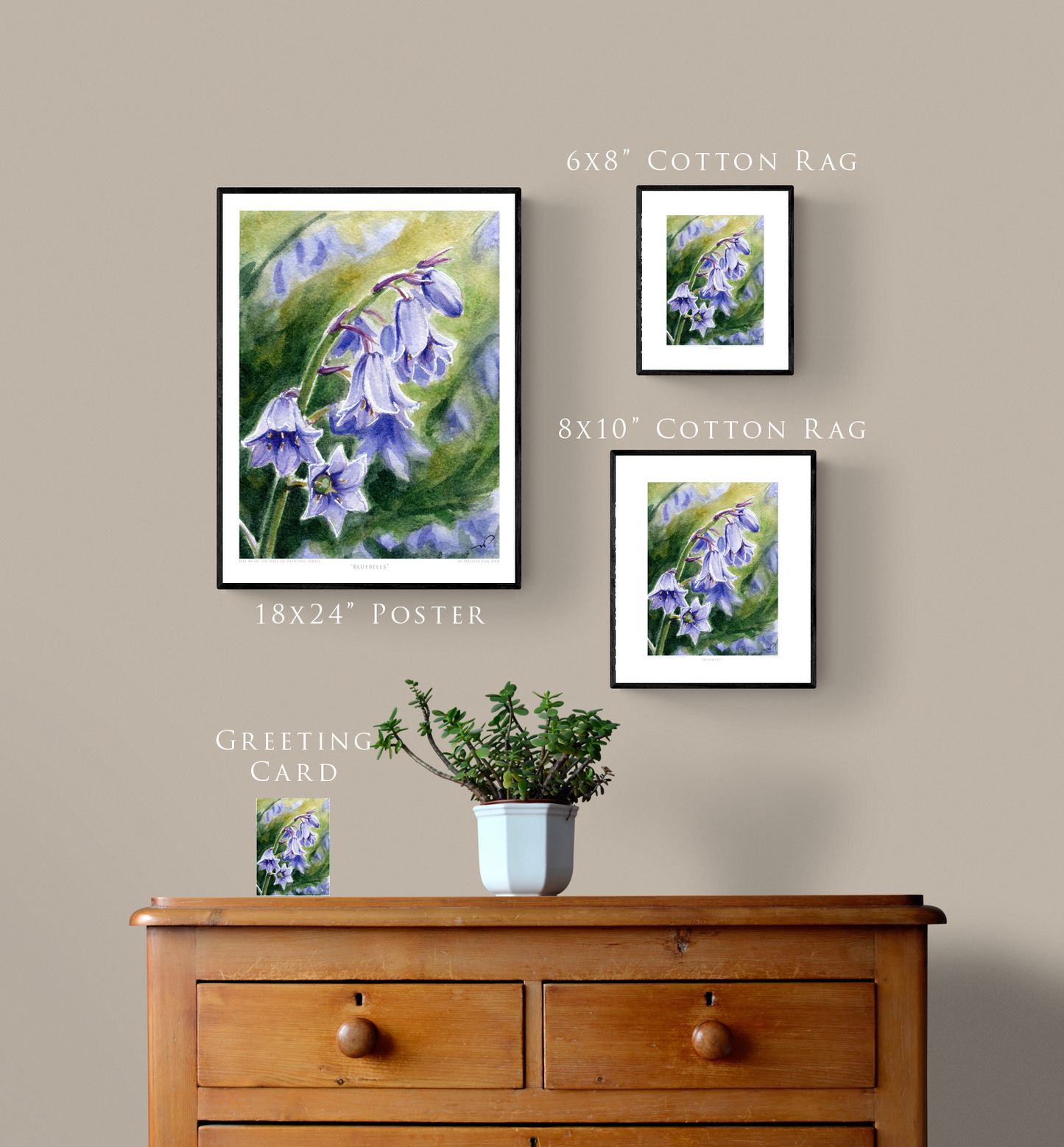 "Bluebells" Day 88