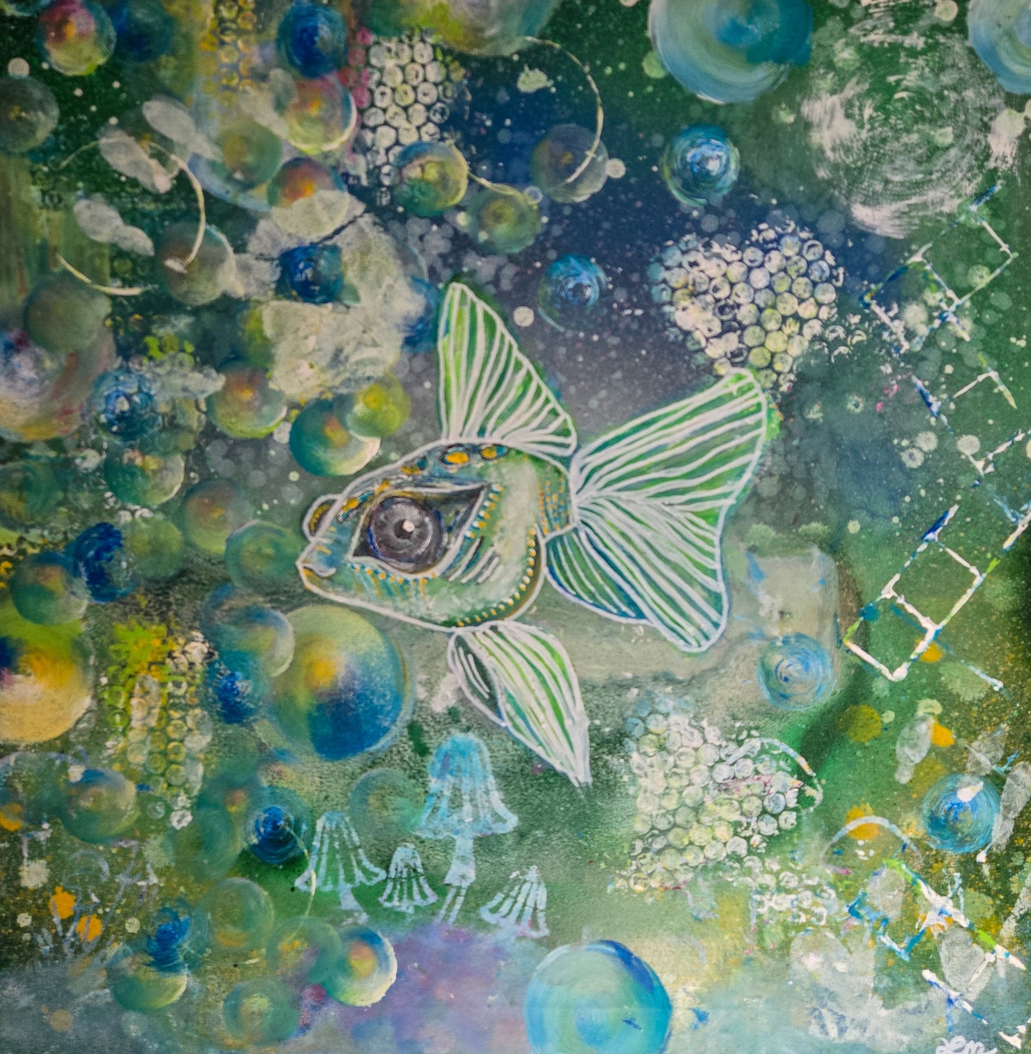 Maisies fish 14 x 14