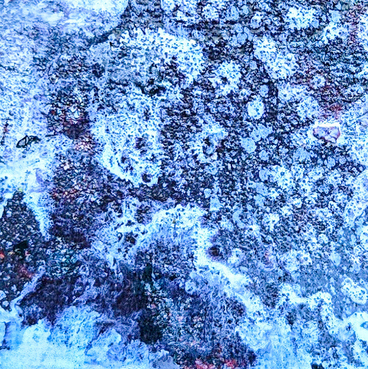 2 x 2 original painting magnets