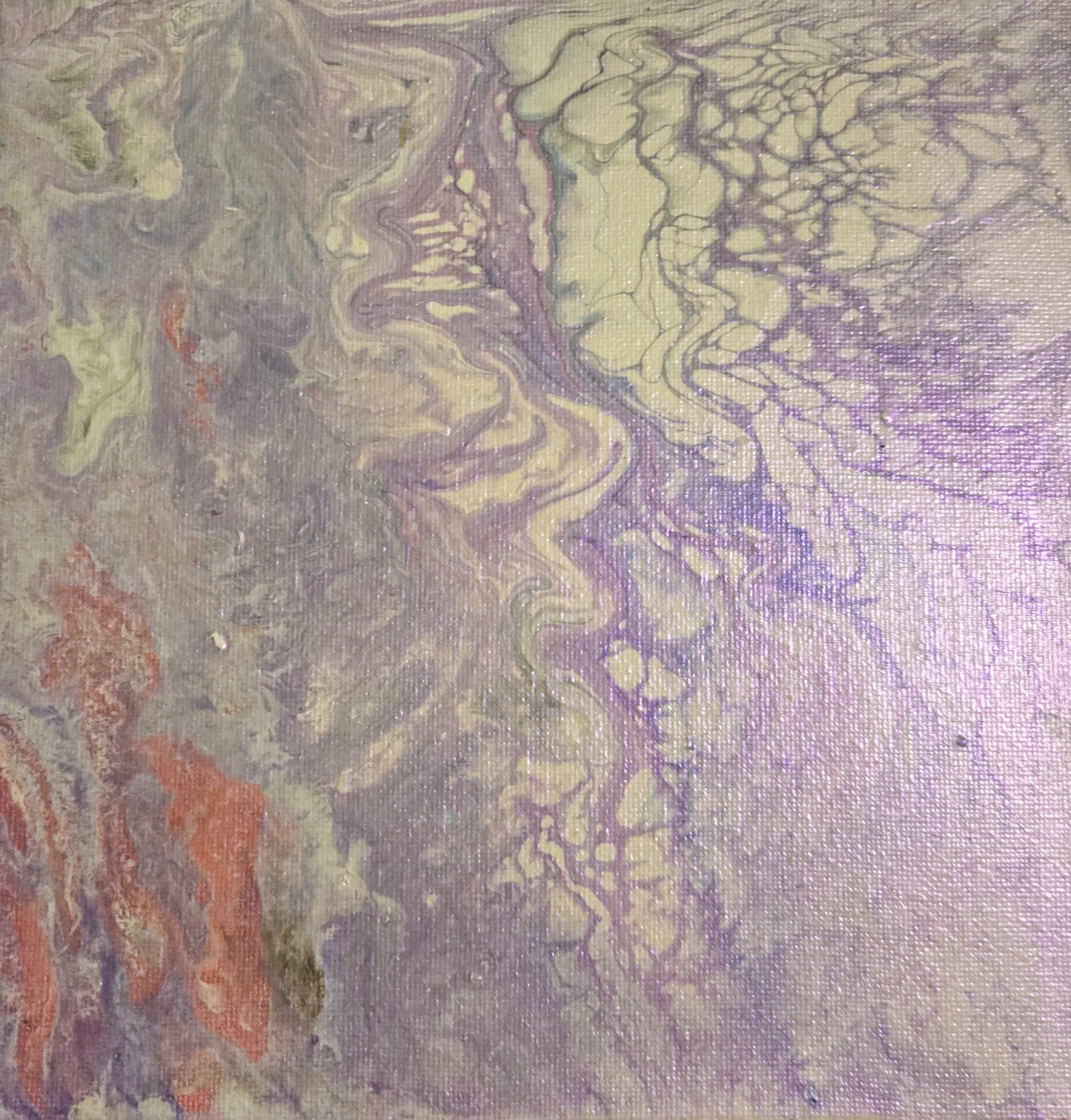 Lavender shine 8 x 8