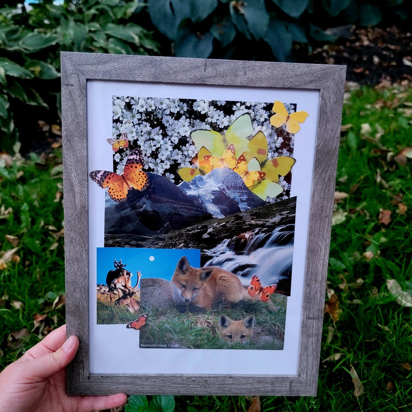 Little Wild World
