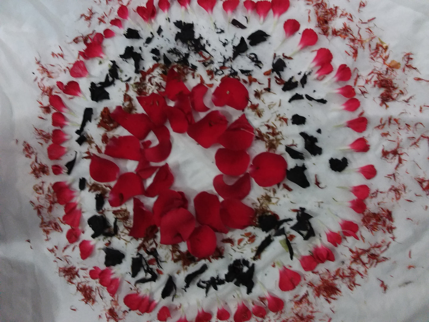 Botanical Printing on Textiles Workshop