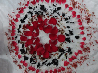 Botanical Printing on Textiles Workshop
