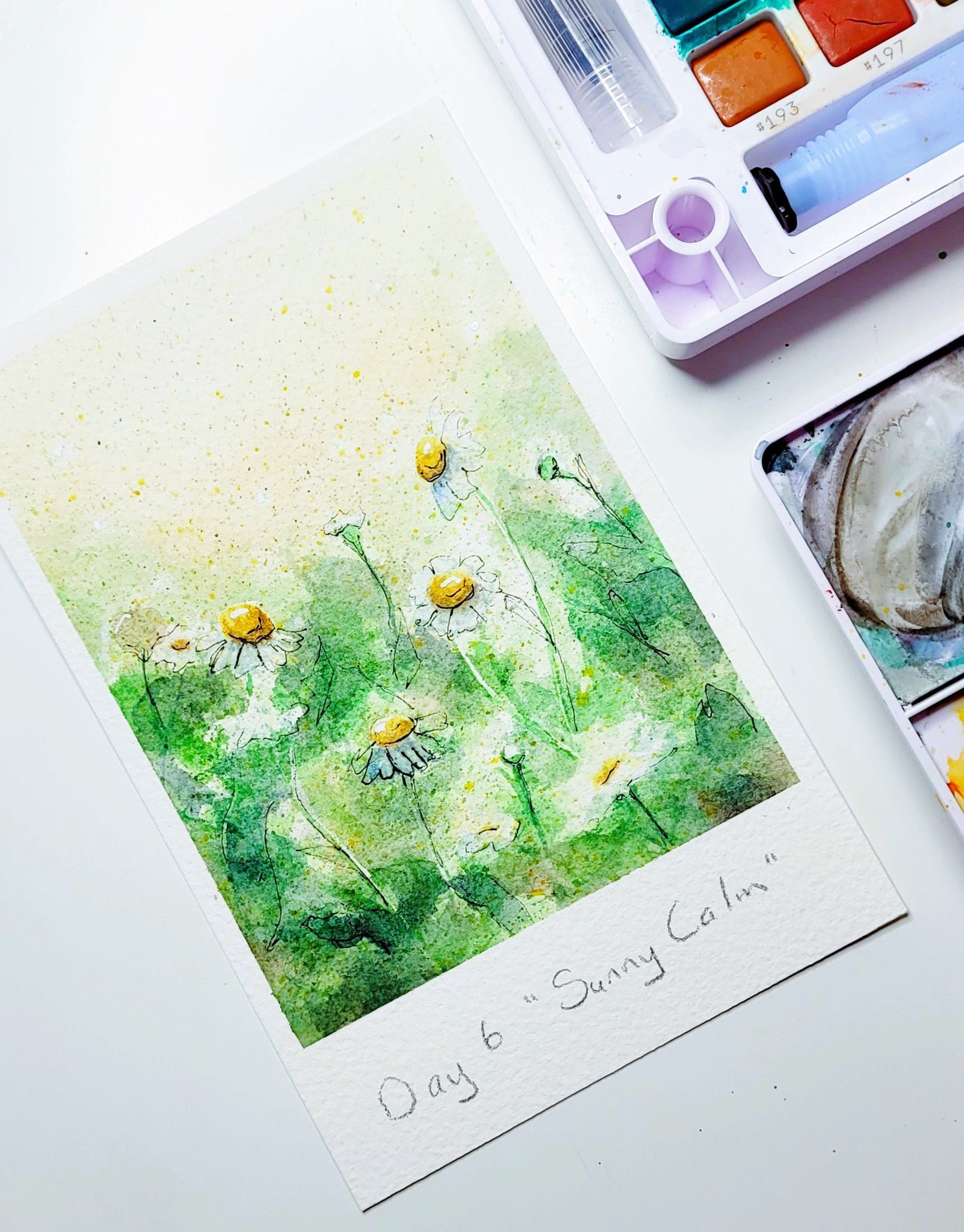 "Sunny Calm" Day 6 Chamomile