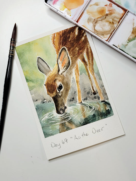 "As the Deer" Day 69 Fawn Drinking Water