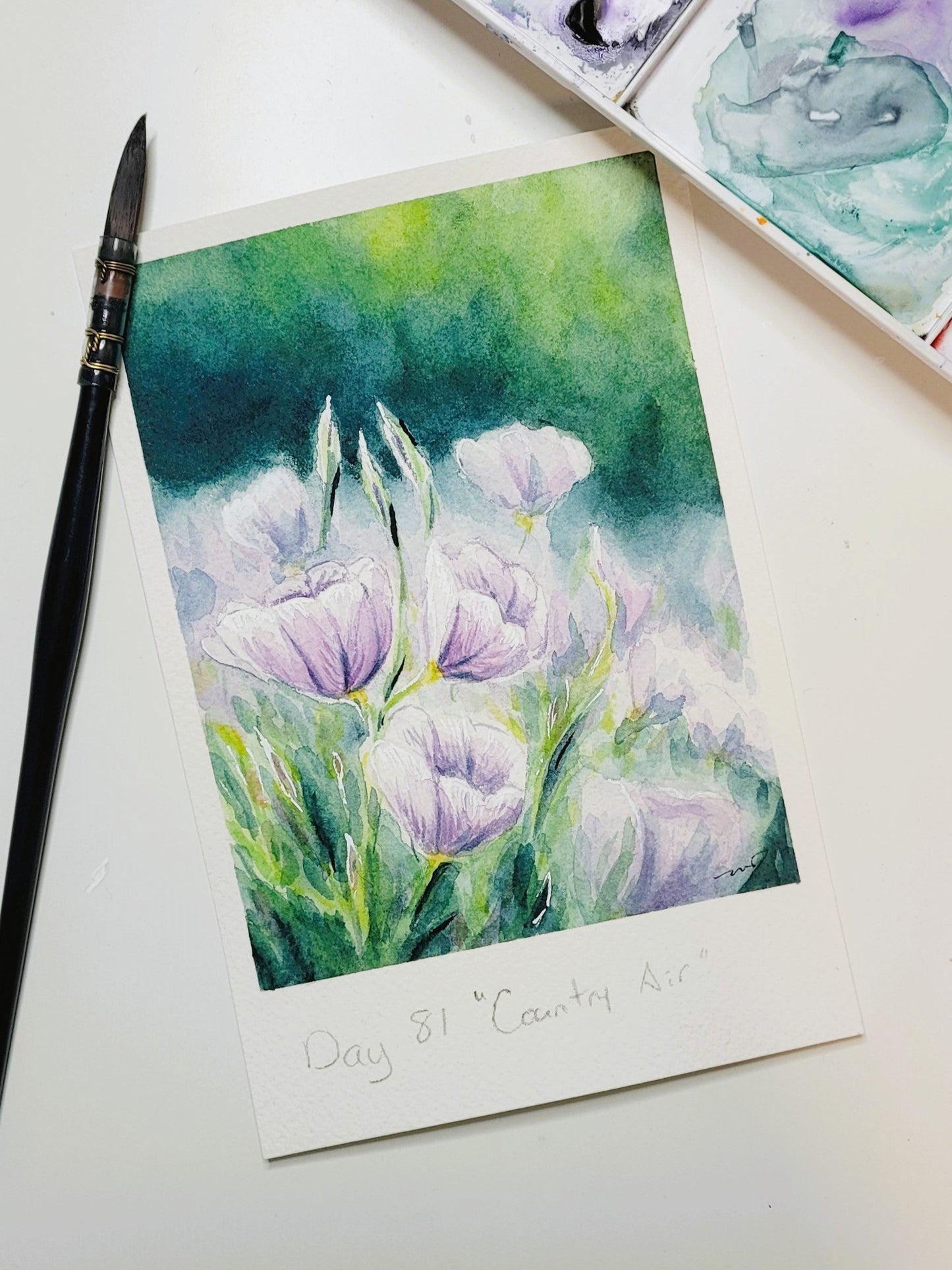 "Country Air" Primrose Day 81 Greeting Card