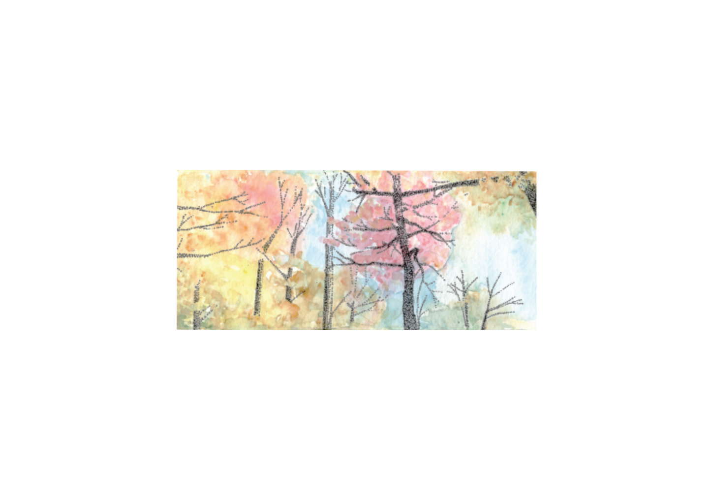 Assorted Watercolour/Ink Prints