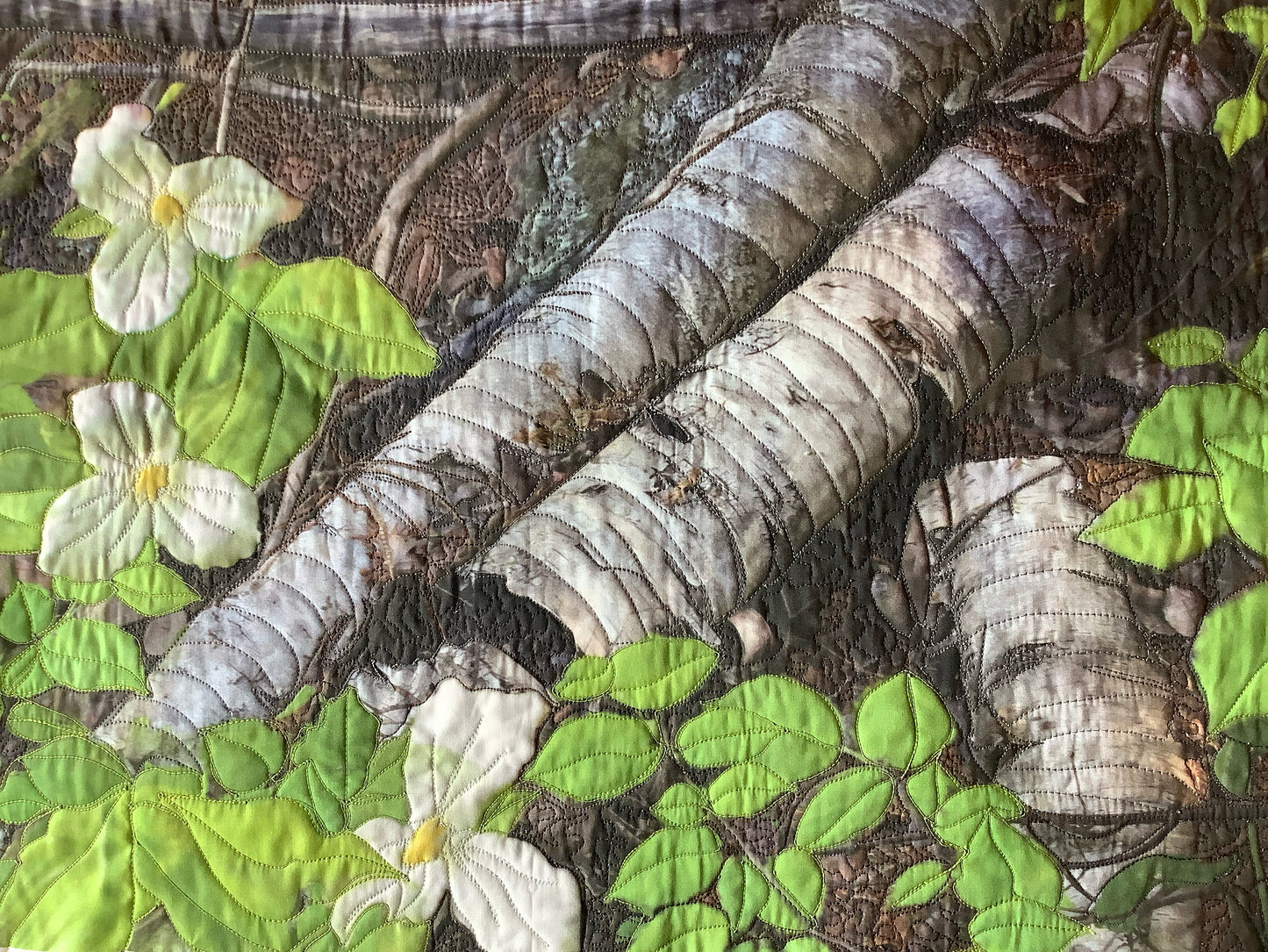 Birch Logs with Trilliums