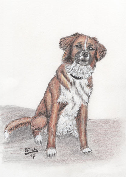 It's A Dog's Life- Dog Portraits
