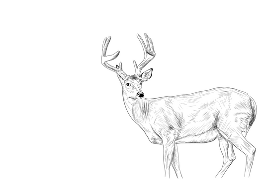 Alert (Print)