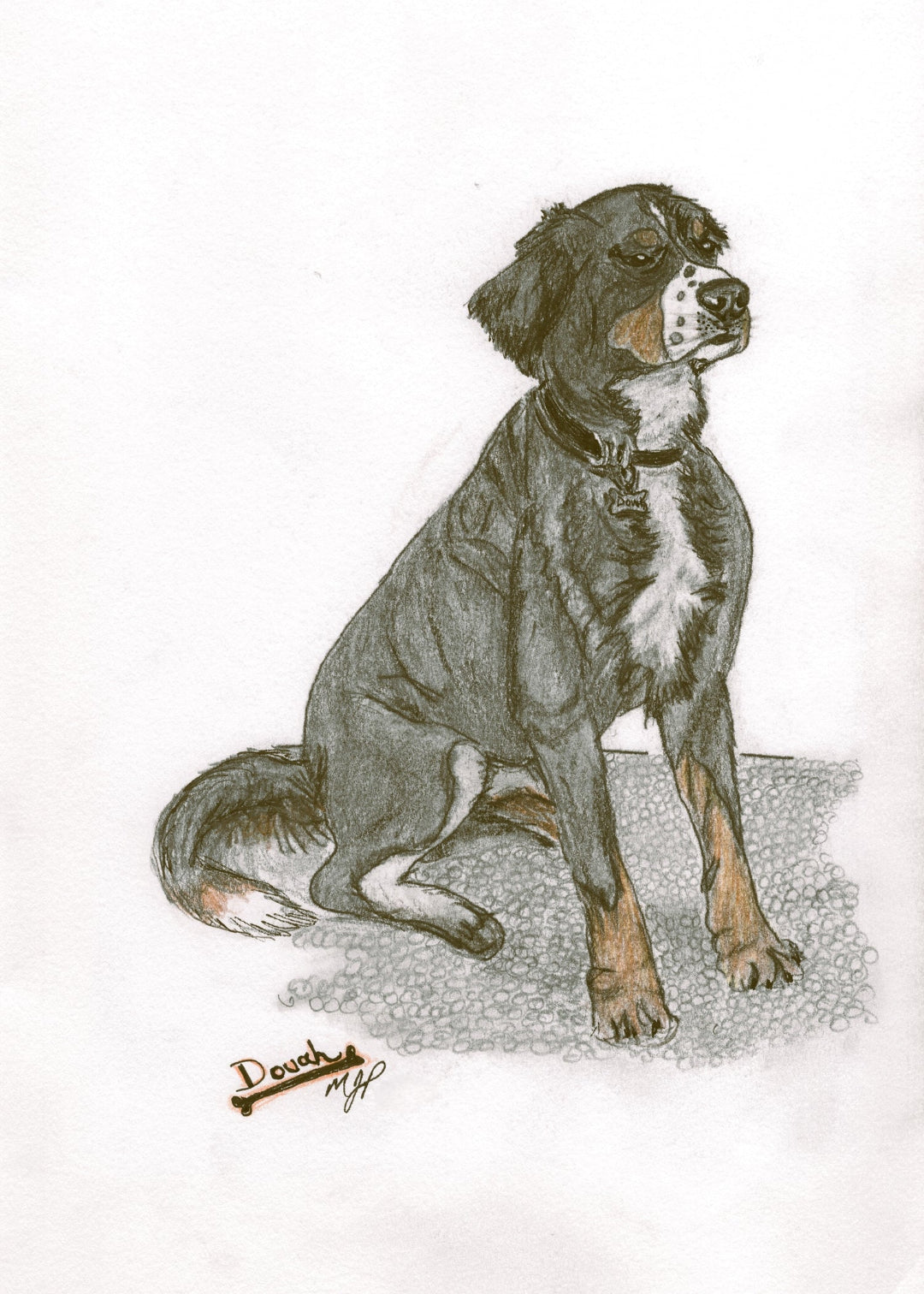 It's A Dog's Life- Dog Portraits