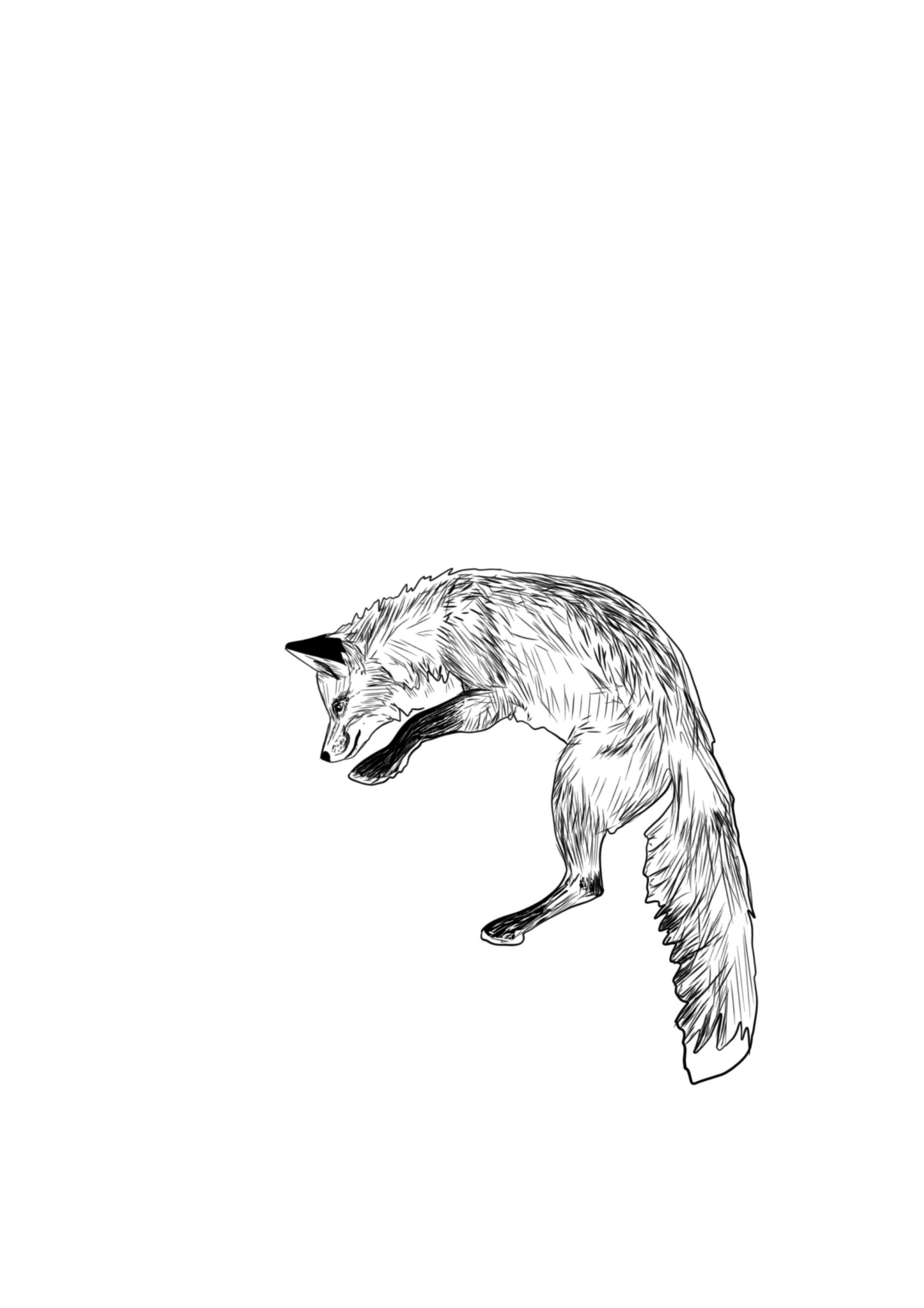 Pounce (Print)