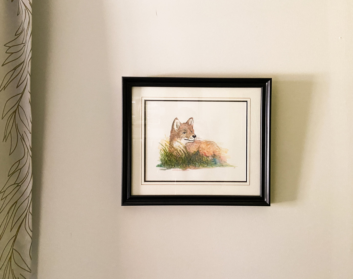 Fox at Sunset