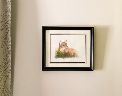 Fox at Sunset