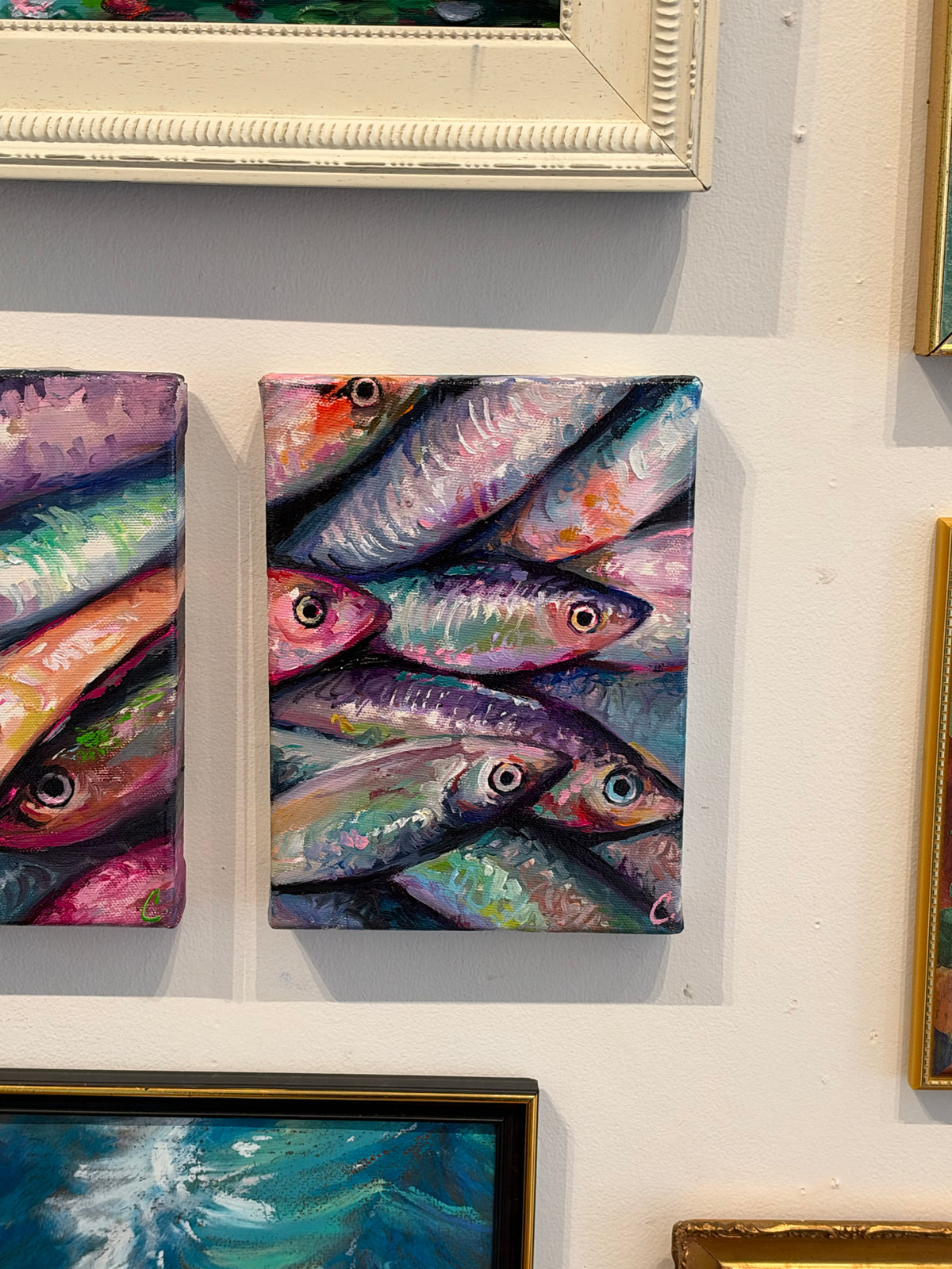 Sardine B