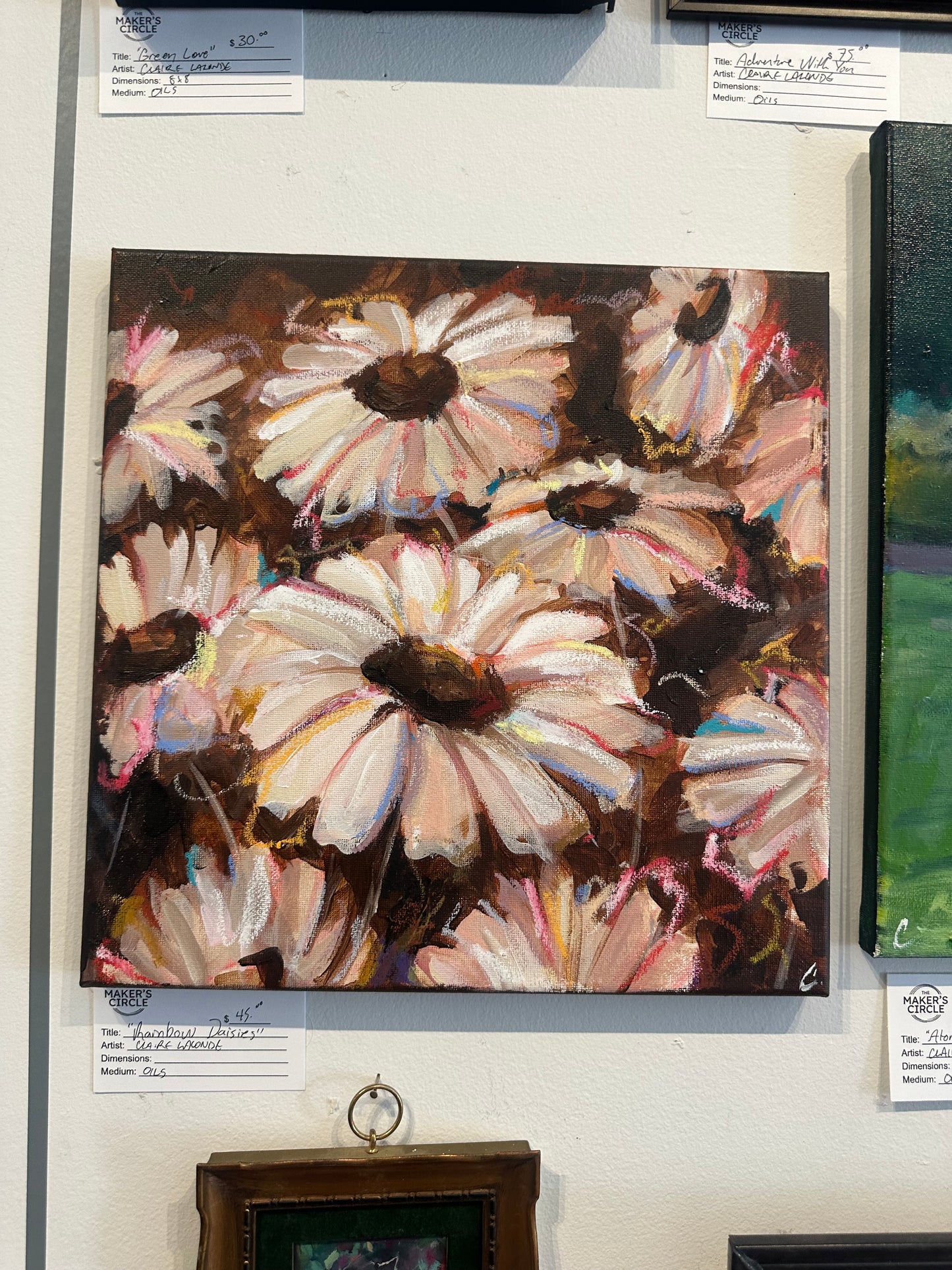 Rainbow Daisy