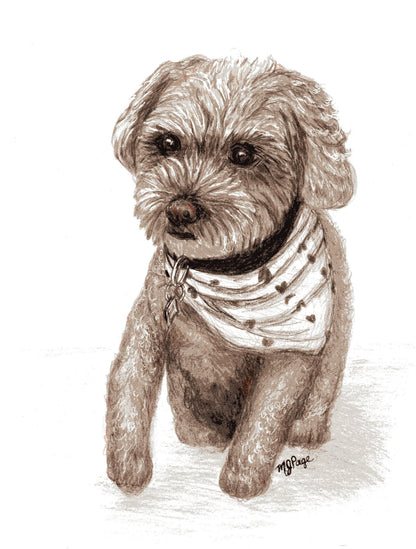 It's A Dog's Life- Dog Portraits