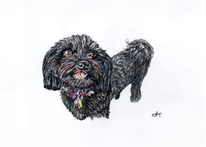 It's A Dog's Life- Dog Portraits