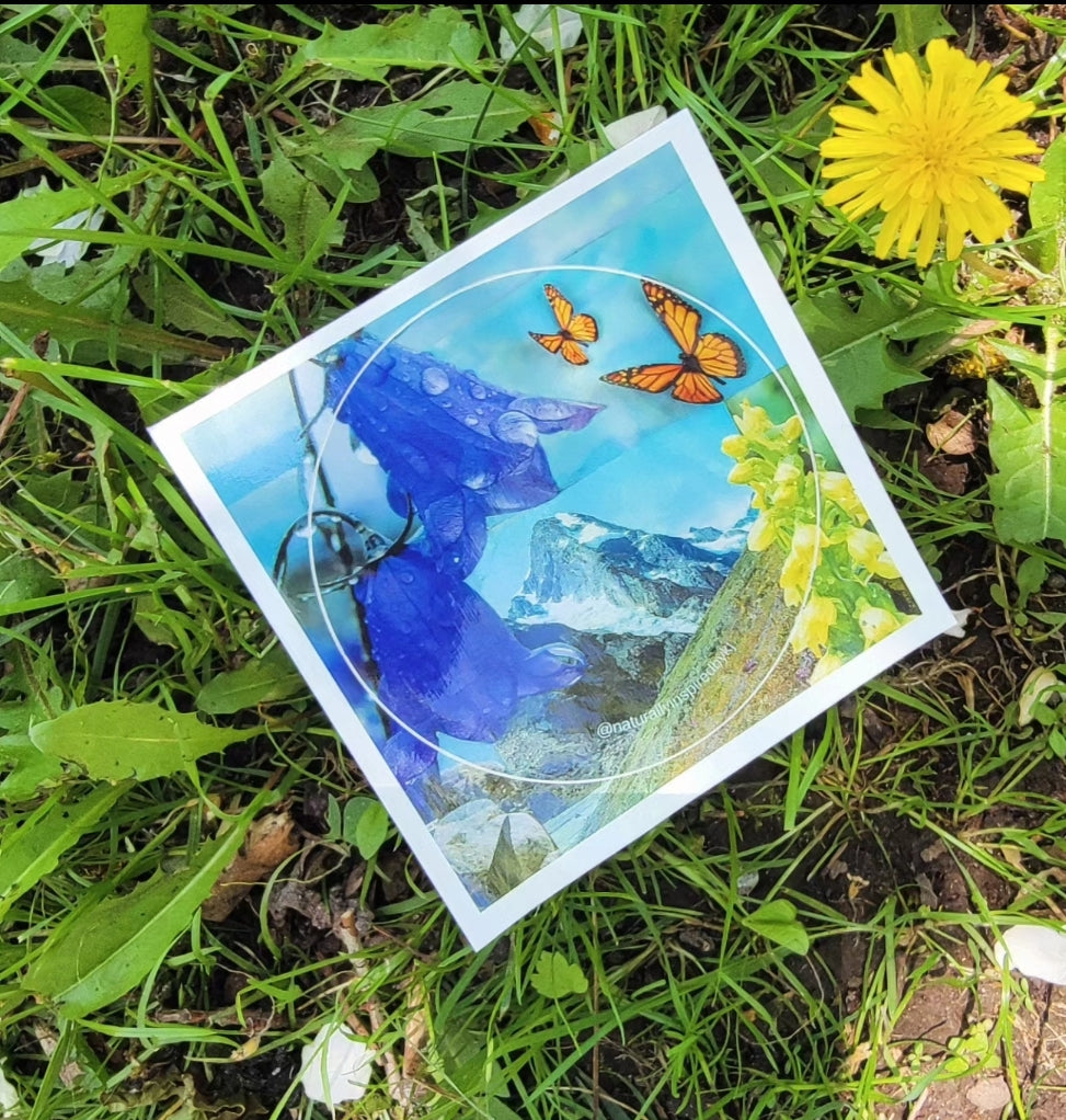 North in Bloom Sticker