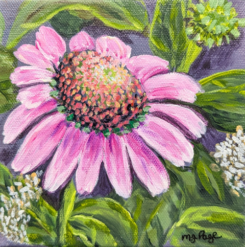 Close-up of a pink flower with green leaves and other plants in the background