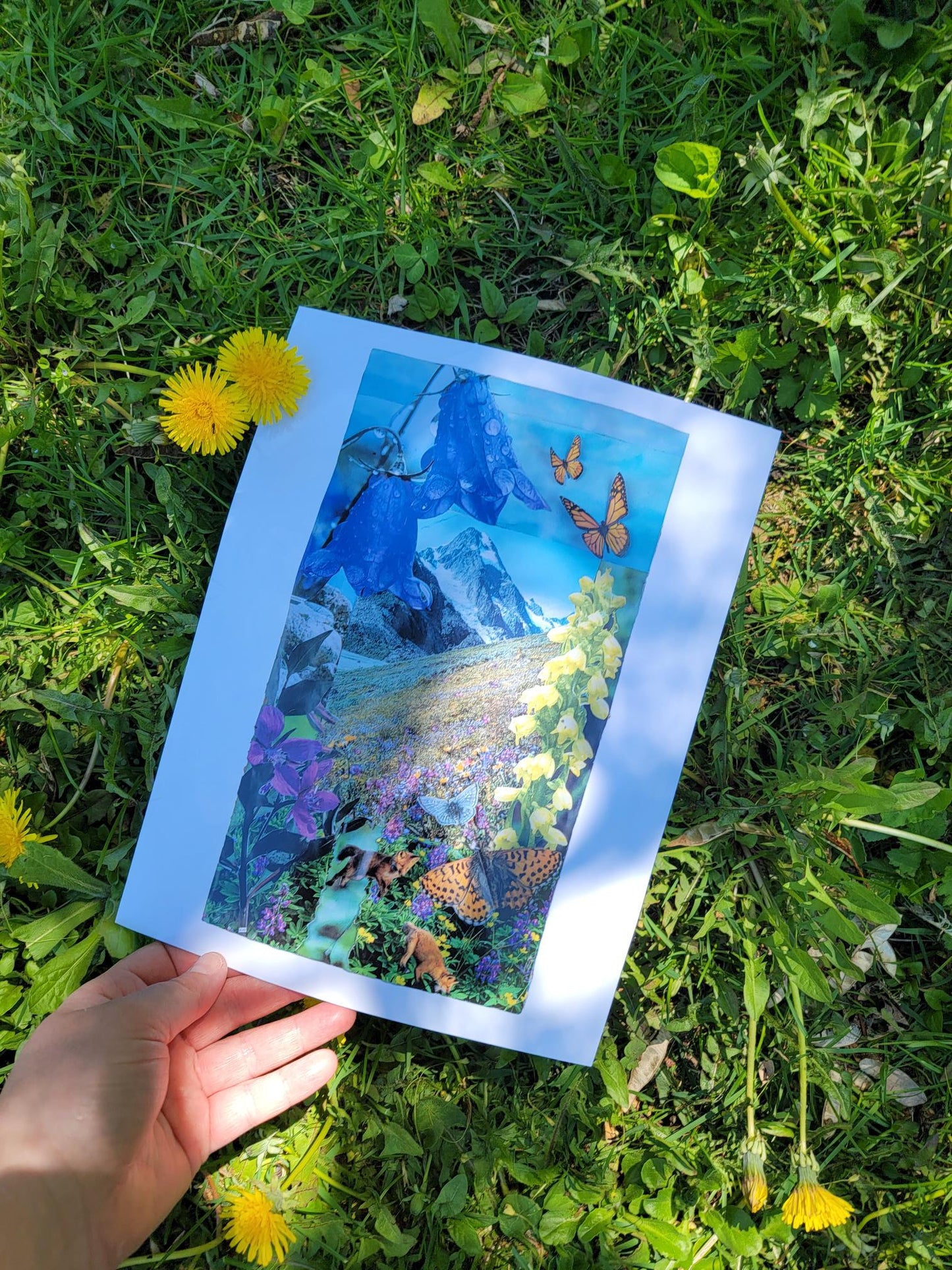 North in Bloom Print