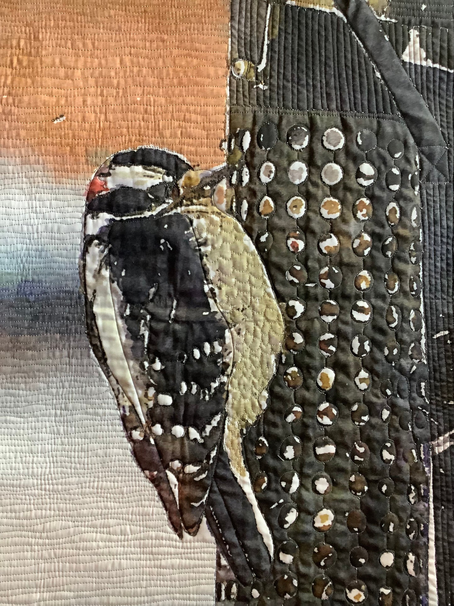 Woodpecker at Birdfeeder