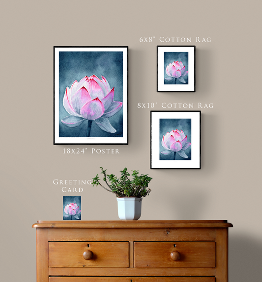 "Opening" Day 75 Lotus Flower