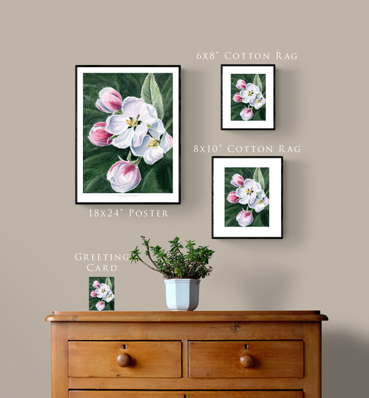 "Promised Fruit" Day 37 Apple Blossom