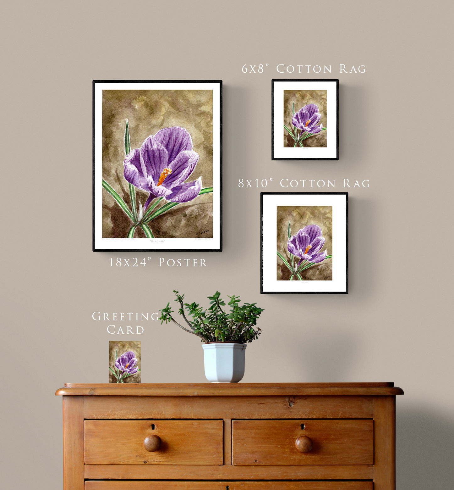 "Reacher" Day 54 Crocus Flower