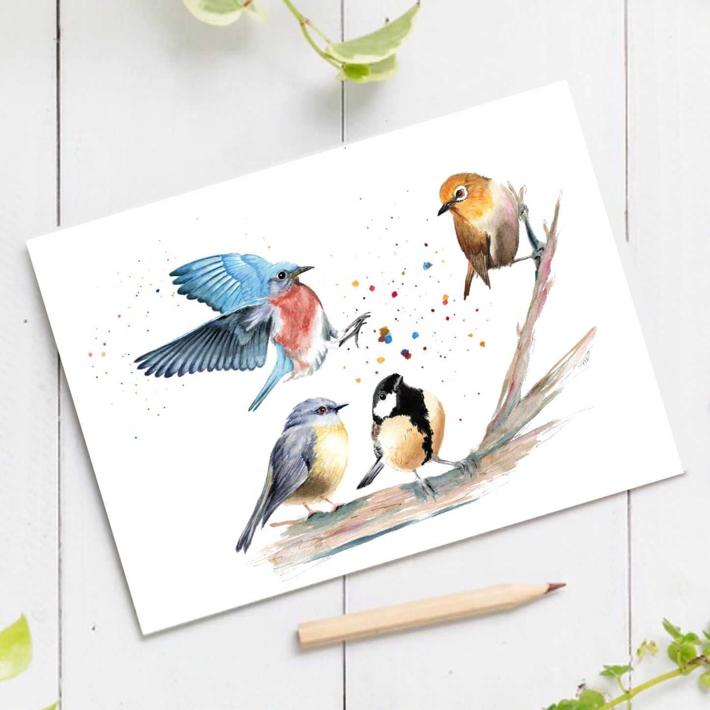 "Crashing In" birds 4.25x5.5" Blank Greeting Card with Envelope