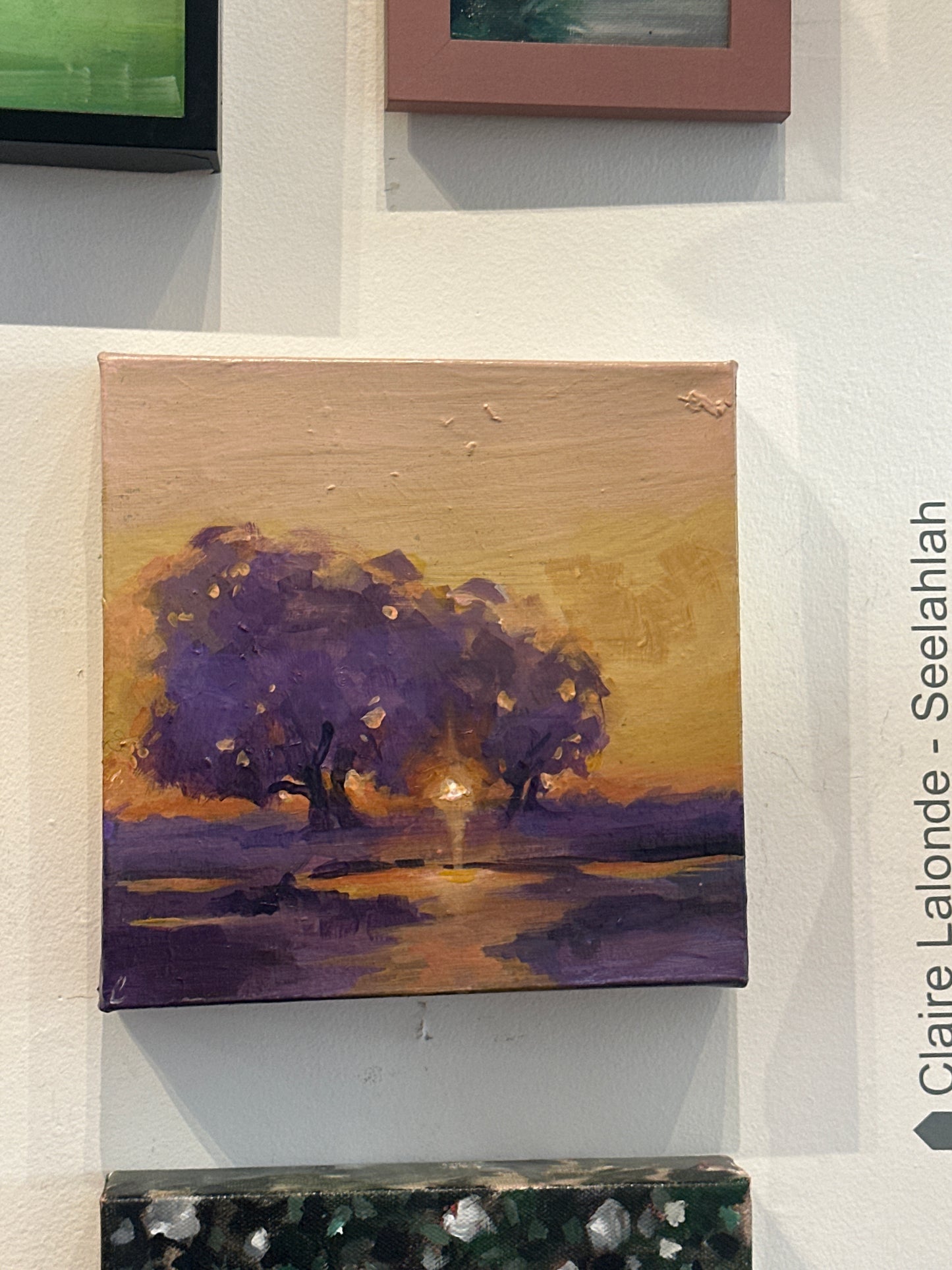 purple meets sunset