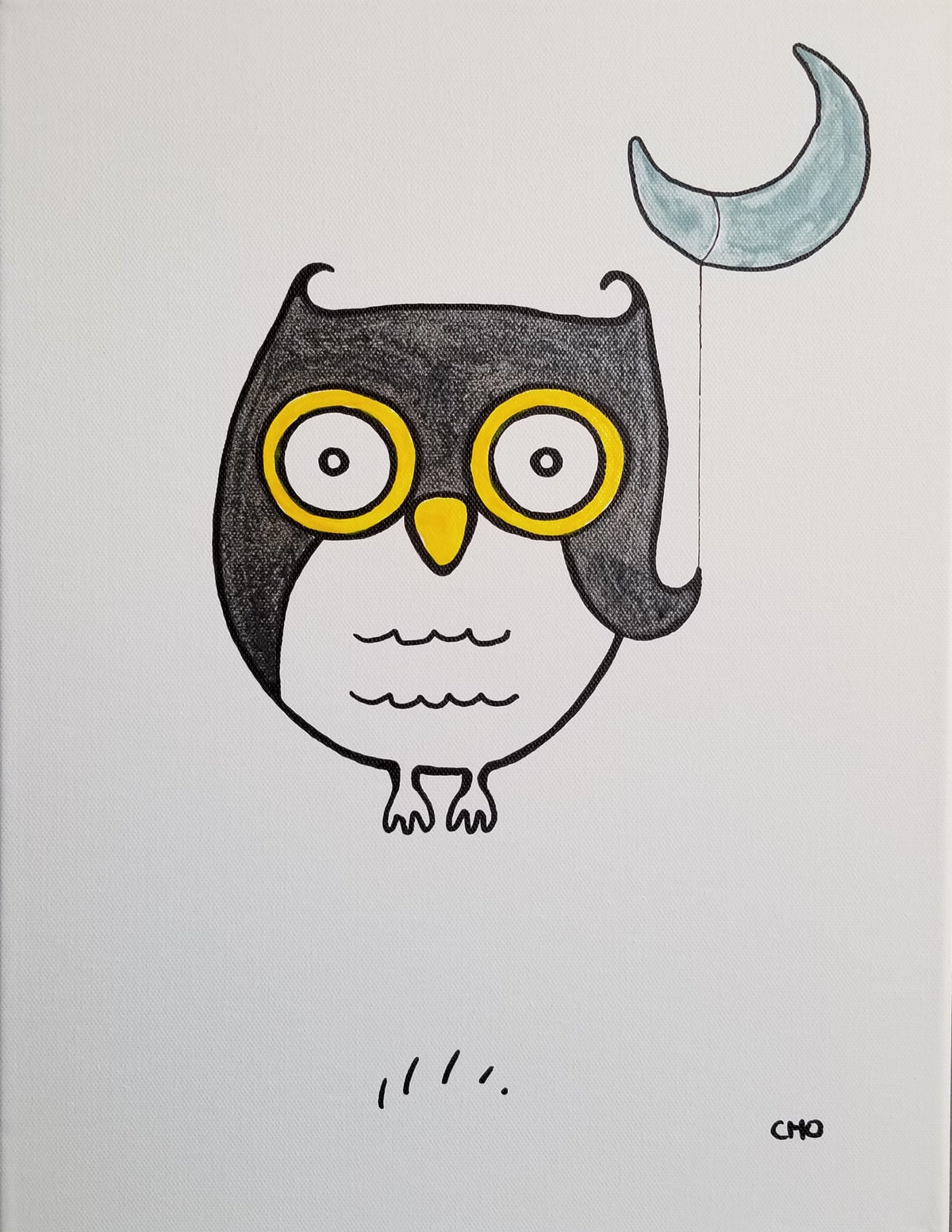 night owl 12x16