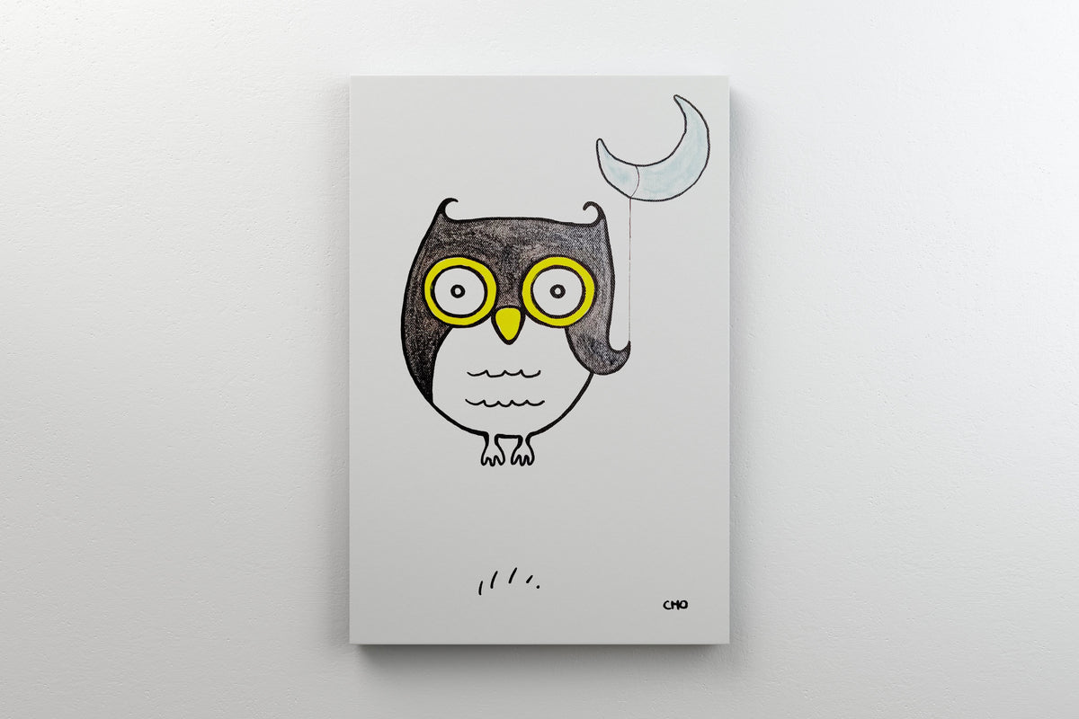 night owl 12x16