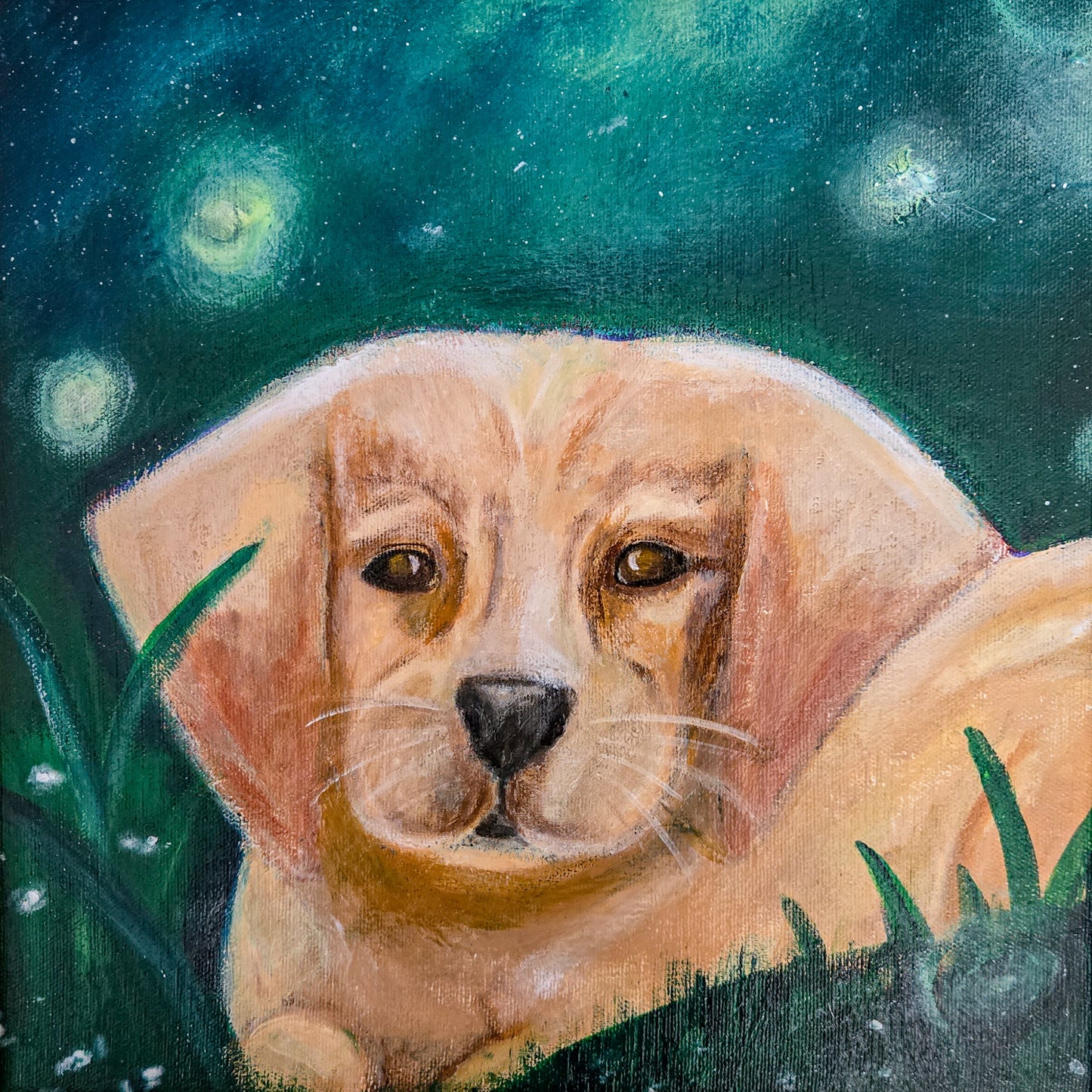 Summertime pup 12 x 12